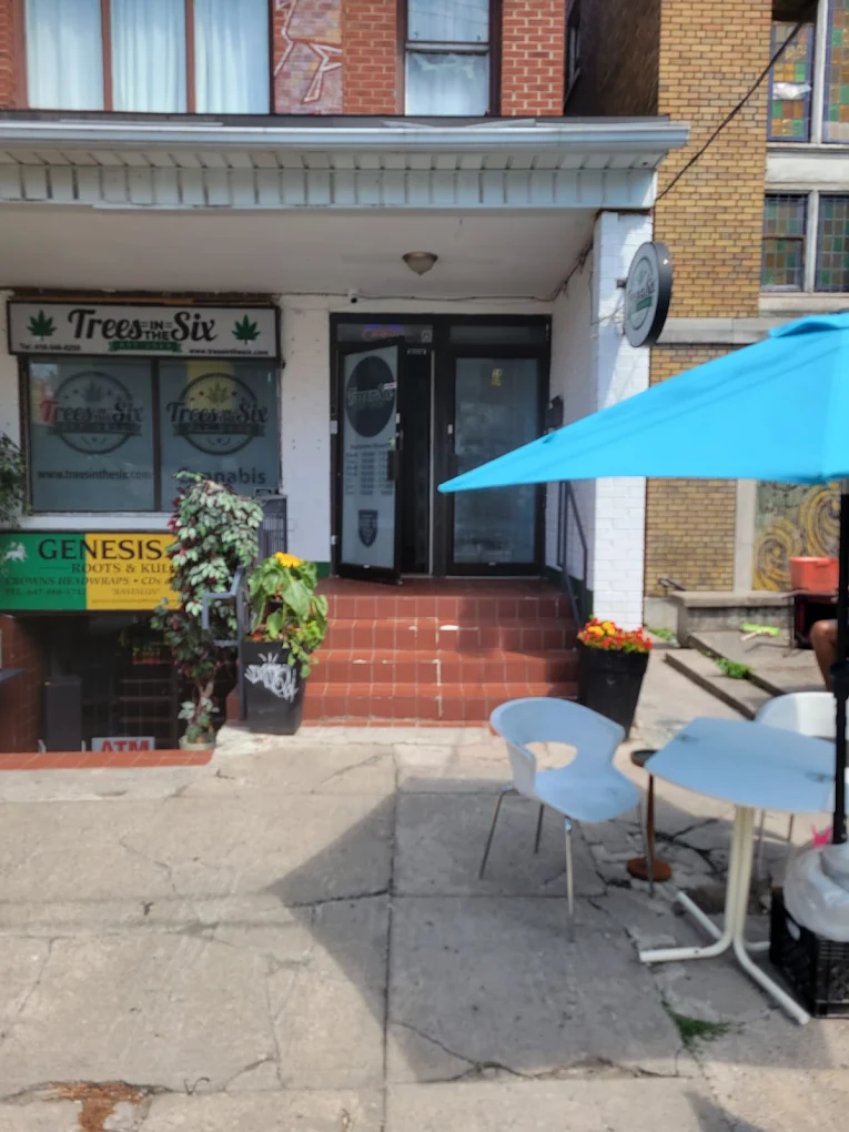 Trees in the Six Store Front