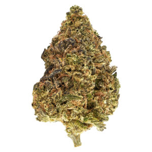 Skullcap