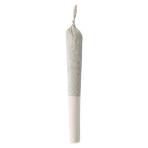 Mango Diesel Jet Pack Infused Pre-Roll