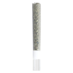 Pure Michigan Glass Tip Pre-Roll